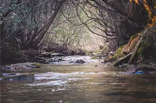 480 Brookstone Trl, Dawsonville, GA 30534 - Photo 40