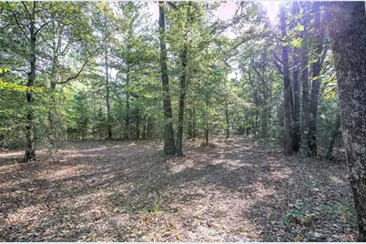 00 Cornelius Road, Cedartown, GA 30125 - Photo 18