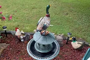 113 Joshua Farms Ln, Ringgold, GA 30736 - Photo 32