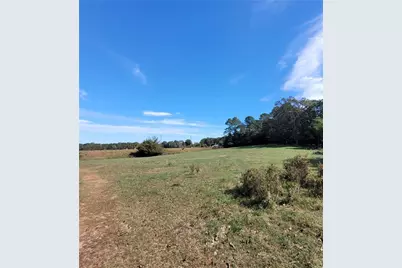 8065 Sandy Cross Road, Carnesville, GA 30521 - Photo 2