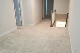 168 Salt Lk Ln, Hoschton, GA 30548 - Photo 18