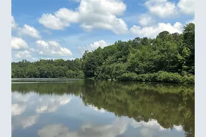50 Carrington Hills, Douglasville, GA 30134 - Photo 2