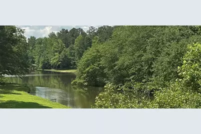50 Carrington Hills, Douglasville, GA 30134 - Photo 42