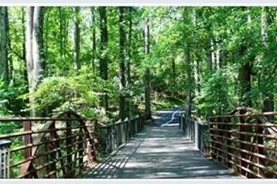 1593 Daisy May Court, Dacula, GA 30019 - Photo 50