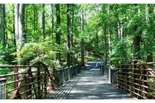 1593 Daisy May Ct, Dacula, GA 30019 - Photo 50