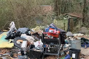 1353 Dillon Rd, Austell, GA 30168 - Photo 4