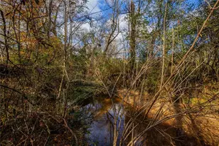 96 Indian Creek Way, Hoschton, GA 30548 - Photo 62