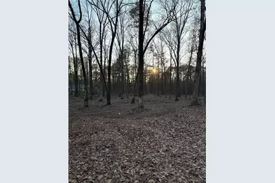 0 Deer Park Ln, Calhoun, GA 30701 - Photo 4