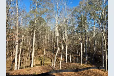 176 Paige Street, Dallas, GA 30132 - Photo 32