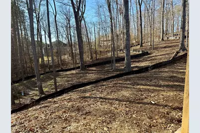 310 Evie Drive, Canton, GA 30015 - Photo 46