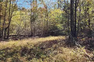 0 Hwy 411, Rome, GA 30161 - Photo 1