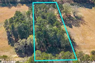 172 Loyd Rd, Mansfield, GA 30055 - Photo 12