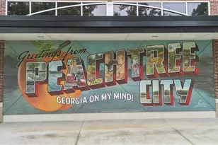 940 Laurel Brooke Ave, Peachtree City, GA 30269 - Photo 52