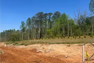 112 Bridgeview (Lot 4) Way, Canton, GA 30114 - Photo 46
