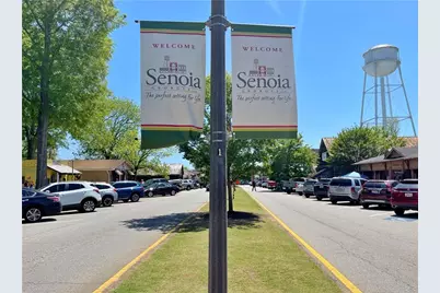 115 Rutland Ct, Senoia, GA 30276 - Photo 66