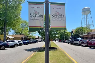 115 Rutland Ct, Senoia, GA 30276 - Photo 66