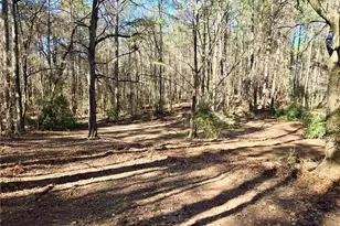 7275 Herndon Rd, Fairburn, GA 30213 - Photo 22