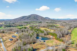 6725 Eubanks Creek Dr, Clermont, GA 30527 - Photo 62