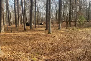 3353 Galts Rd, Acworth, GA 30102 - Photo 4