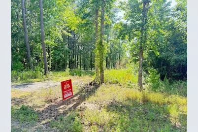 0 Perkins Road, Barnesville, GA 30204 - Photo 2