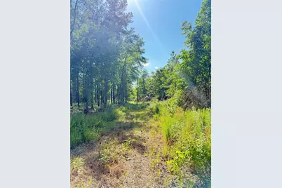 0 Perkins Road, Barnesville, GA 30204 - Photo 4