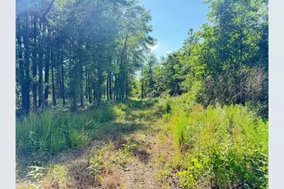 0 Perkins Road, Barnesville, GA 30204 - Photo 6