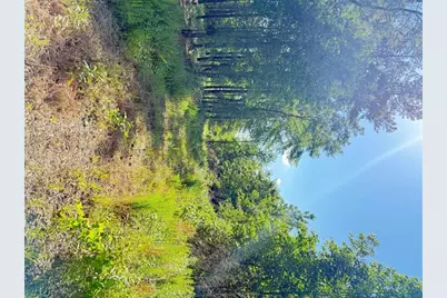 0 Perkins Road, Barnesville, GA 30204 - Photo 12