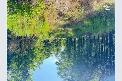 0 Perkins Road, Barnesville, GA 30204 - Photo 10