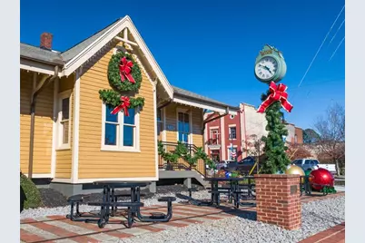 6728 Leigh Street, Flowery Branch, GA 30542 - Photo 72