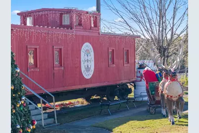 6728 Leigh Street, Flowery Branch, GA 30542 - Photo 76