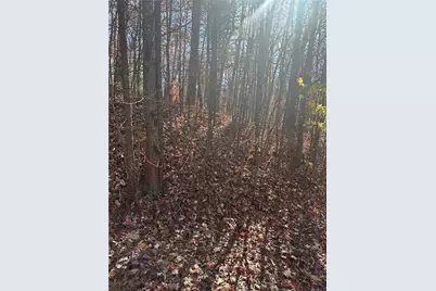 503 Saint Andrews Way, Ellijay, GA 30536 - Photo 8