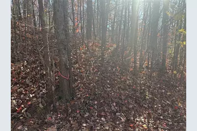 503 Saint Andrews Way, Ellijay, GA 30536 - Photo 10