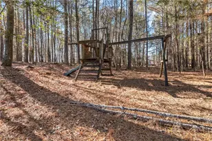 1178 Antrim Glen Dr, Hoschton, GA 30548 - Photo 52