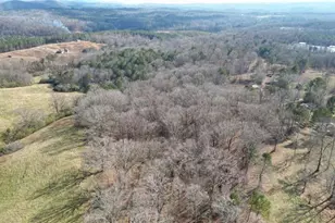 6267 Mt Pisgah Rd, Ellijay, GA 30540 - Photo 66