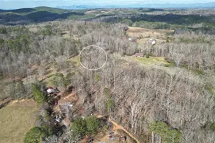 6267 Mt Pisgah Rd, Ellijay, GA 30540 - Photo 68