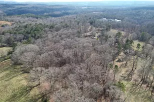 6267 Mt Pisgah Rd, Ellijay, GA 30540 - Photo 64