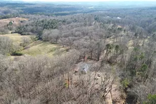 6267 Mt Pisgah Rd, Ellijay, GA 30540 - Photo 62