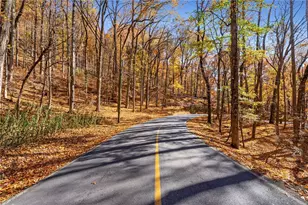 56 Buckeye Trail, Jasper, GA 30143 - Photo 34