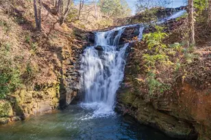 56 Buckeye Trail, Jasper, GA 30143 - Photo 24