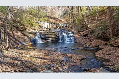56 Buckeye Trail, Jasper, GA 30143 - Photo 22