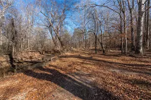 113 Golden Property Rd, Bremen, GA 30110 - Photo 42