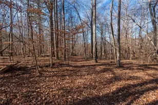 113 Golden Property Rd, Bremen, GA 30110 - Photo 44