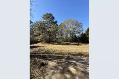 829 Sweden Forest Cove, Hampton, GA 30228 - Photo 8