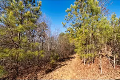 0 Sam Sutton Road NW, Adairsville, GA 30103 - Photo 8