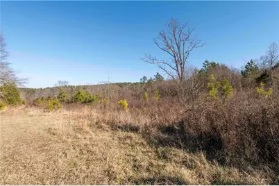 0 Sam Sutton Road NW, Adairsville, GA 30103 - Photo 12