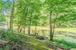 805 Old Mill Ct, Ball Ground, GA 30107 - Photo 92