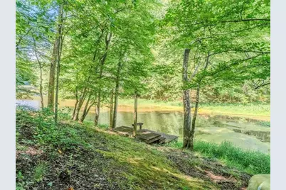 805 Old Mill Court, Ball Ground, GA 30107 - Photo 88