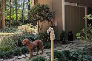 805 Old Mill Ct, Ball Ground, GA 30107 - Photo 112