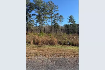 199 Oak Park Drive, Talking Rock, GA 30175 - Photo 6