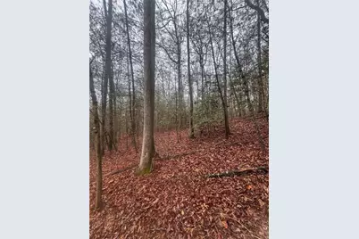 0 W Mountaintown Trail, Ellijay, GA 30540 - Photo 1